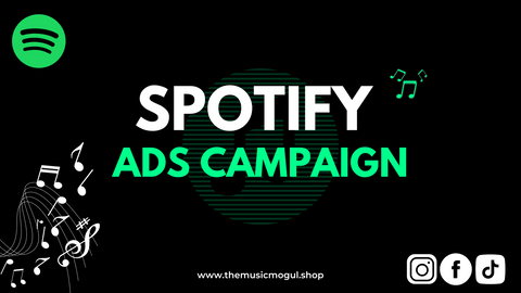 2. Spotify Ads Campaign
